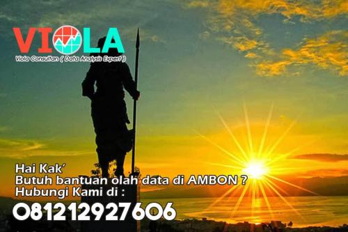 VIOLA Consultan - Jasa Olah Data SPSS