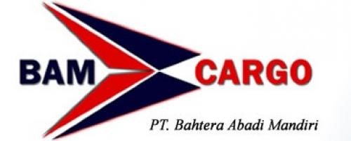 BamCargo Logistics