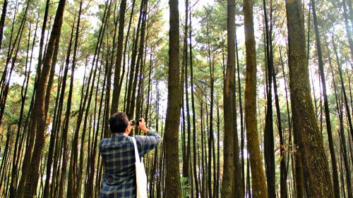 Gunung Pancar Gunung Pancar