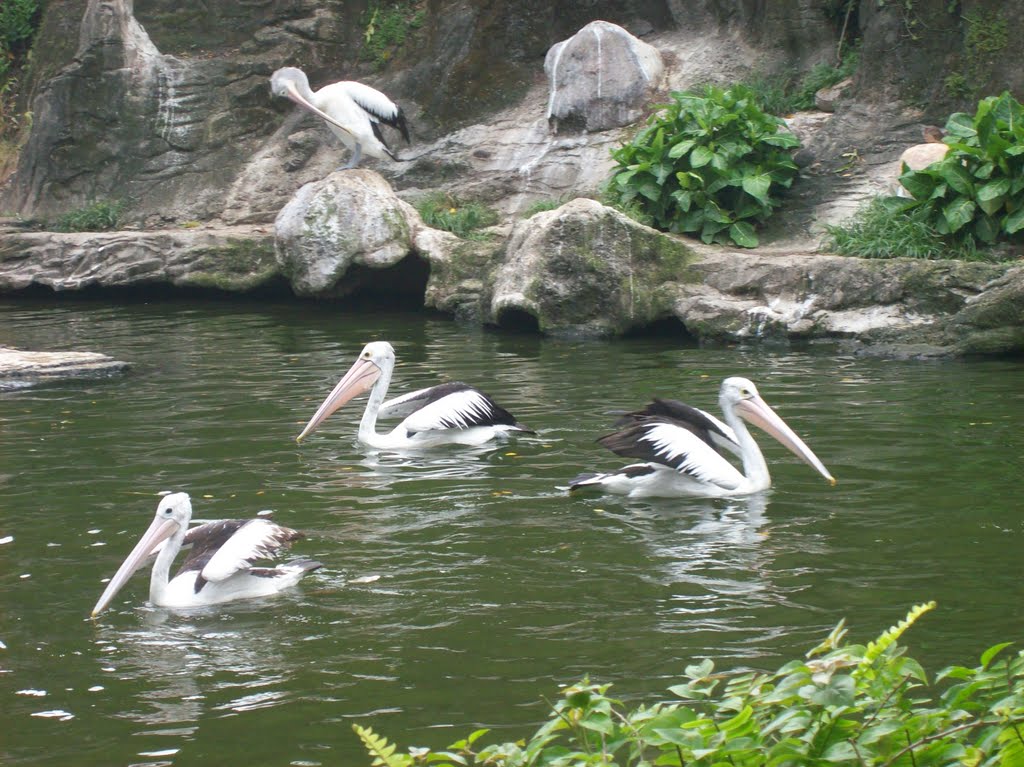 Kebun Binatang Bandung