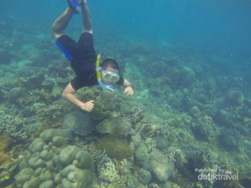 Pantai Angsana Pantai Angsana