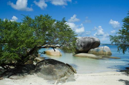 Pantai Tanjung Tinggi Pantai Tanjung Tinggi