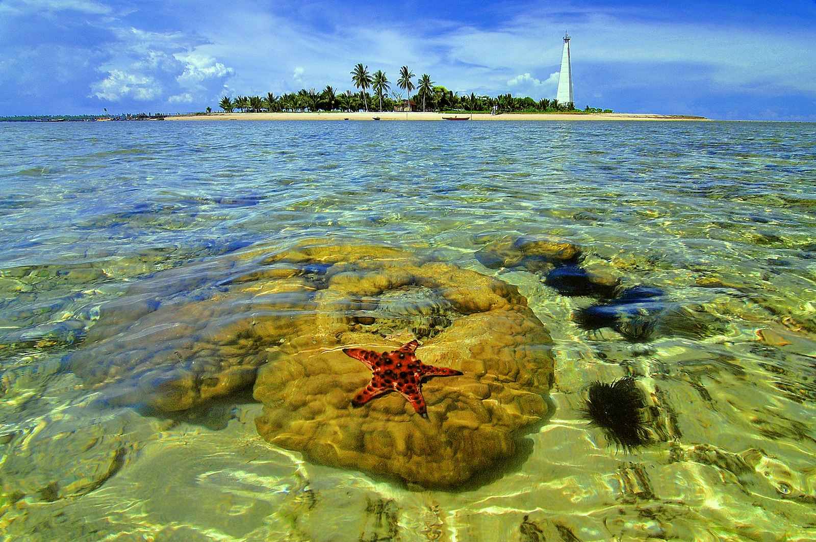Pulau Beras Basah