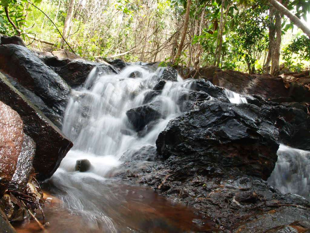 Tahura (Taman Hutan Raya)