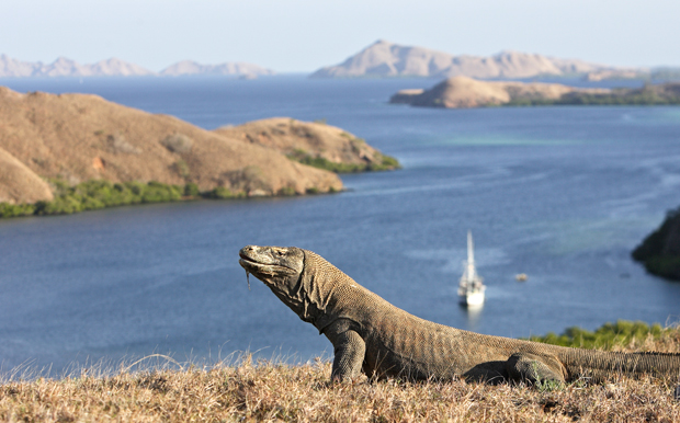 Taman Nasinal Komodo