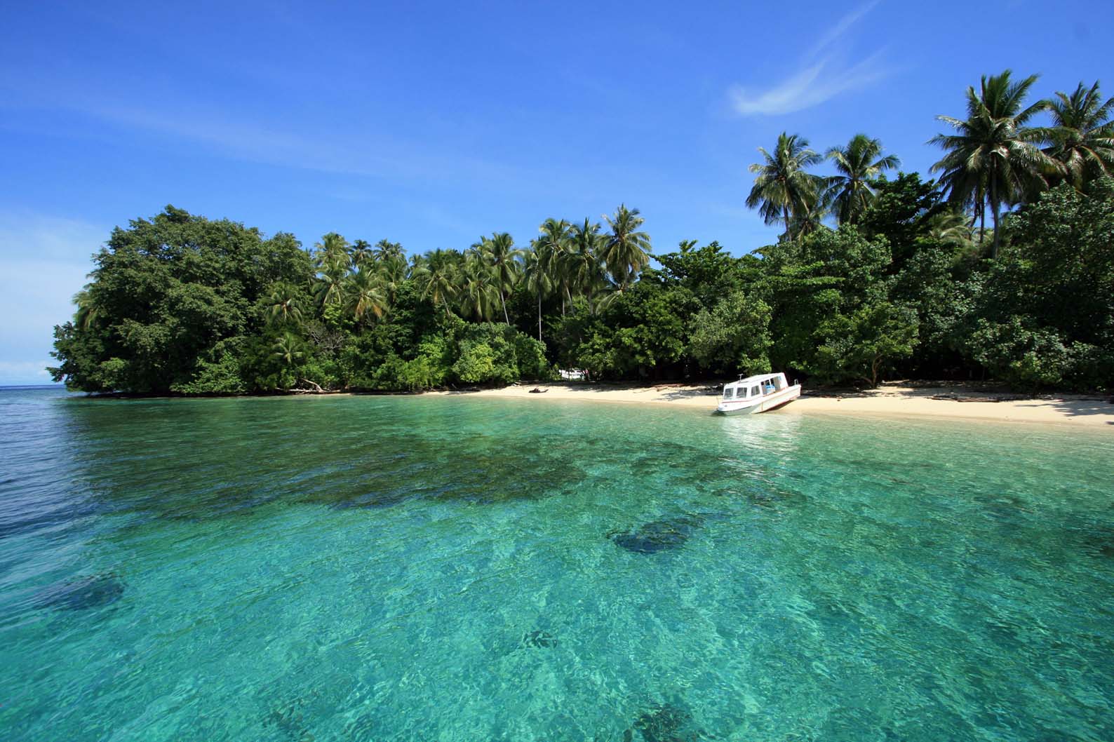 Taman Nasional Teluk Cenderawasih