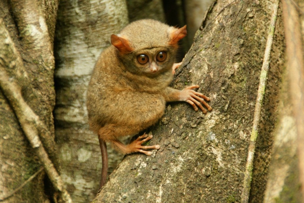 Taman Wisata Tandurusa